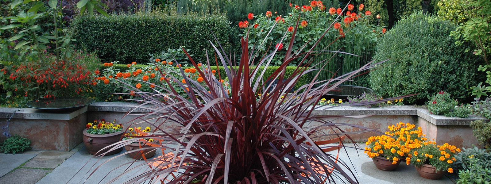 Container and patio plantings